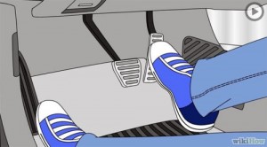 7-chuyen-sang-ban-dap-ga