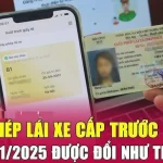 Cập nhật quy định: Giấy phép lái xe mẫu mới áp dụng từ 15/1/2025